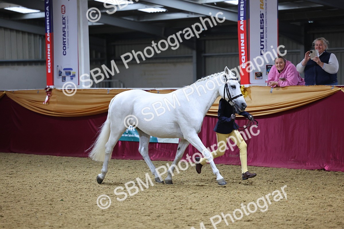 SBM_18463 - Class A Junior Champ 10 Years and Under