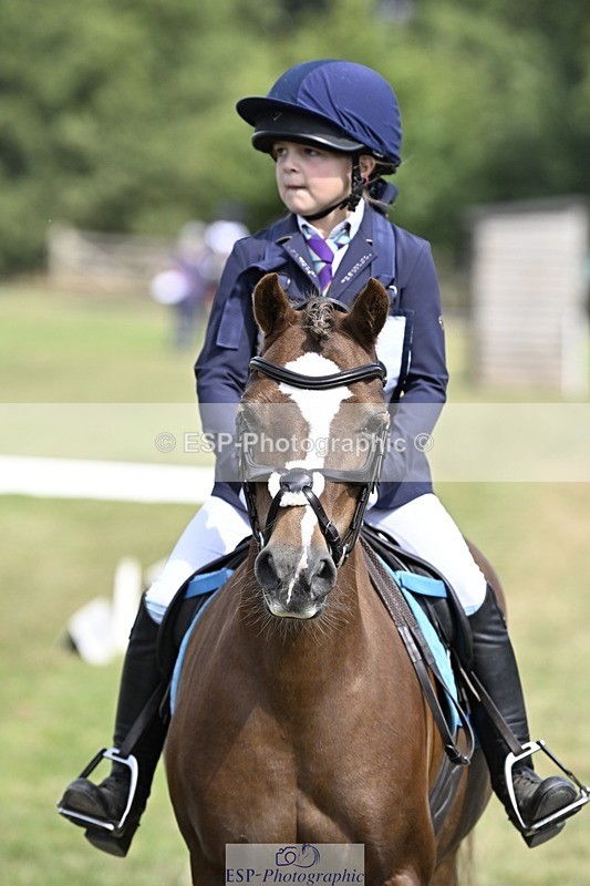 250821A-115705-15388 - DR 11.00 to 12.00