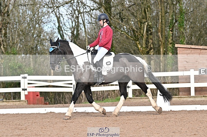 241214-112411-01388 - 130-Alys.Matravers-Tiger.Mazariti