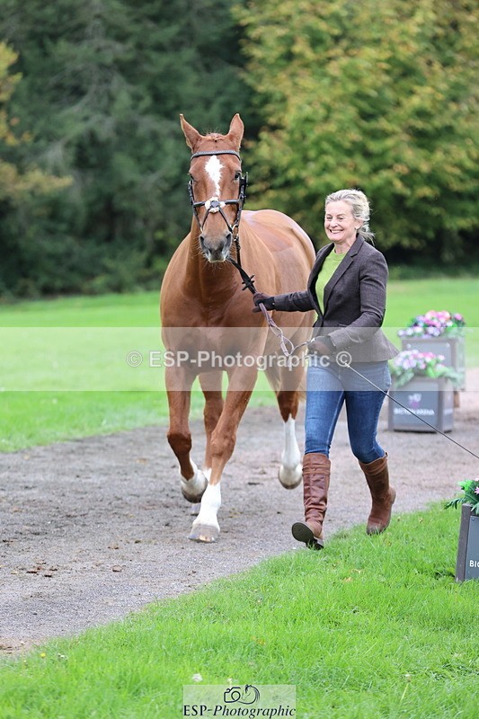 251026A-111422-25325 - G-579-Amy.Newton