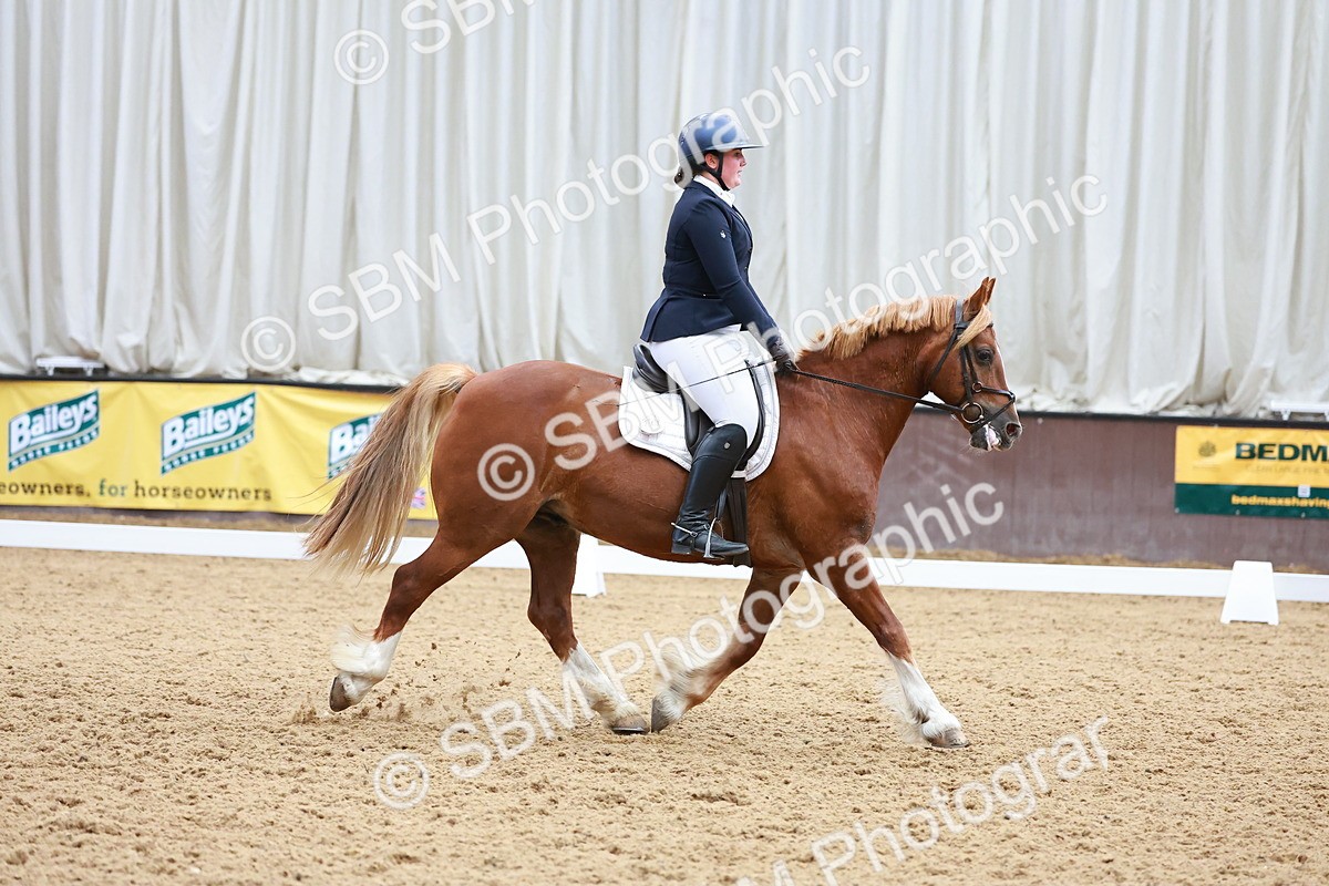 SBM_011555 - Prelim 5 - 13.05-14.01
