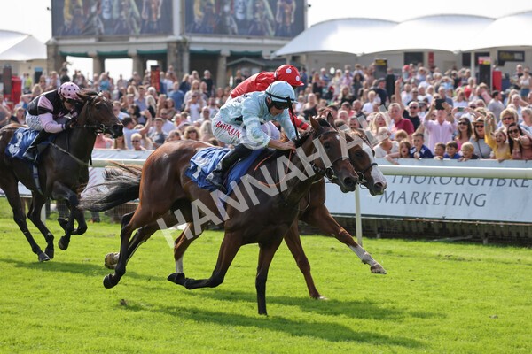 yr05092021r1-26 - Race 1 2.10pm IRE-Incentive It Pays To Buy Irish ebfstallions.com Novice Stakes