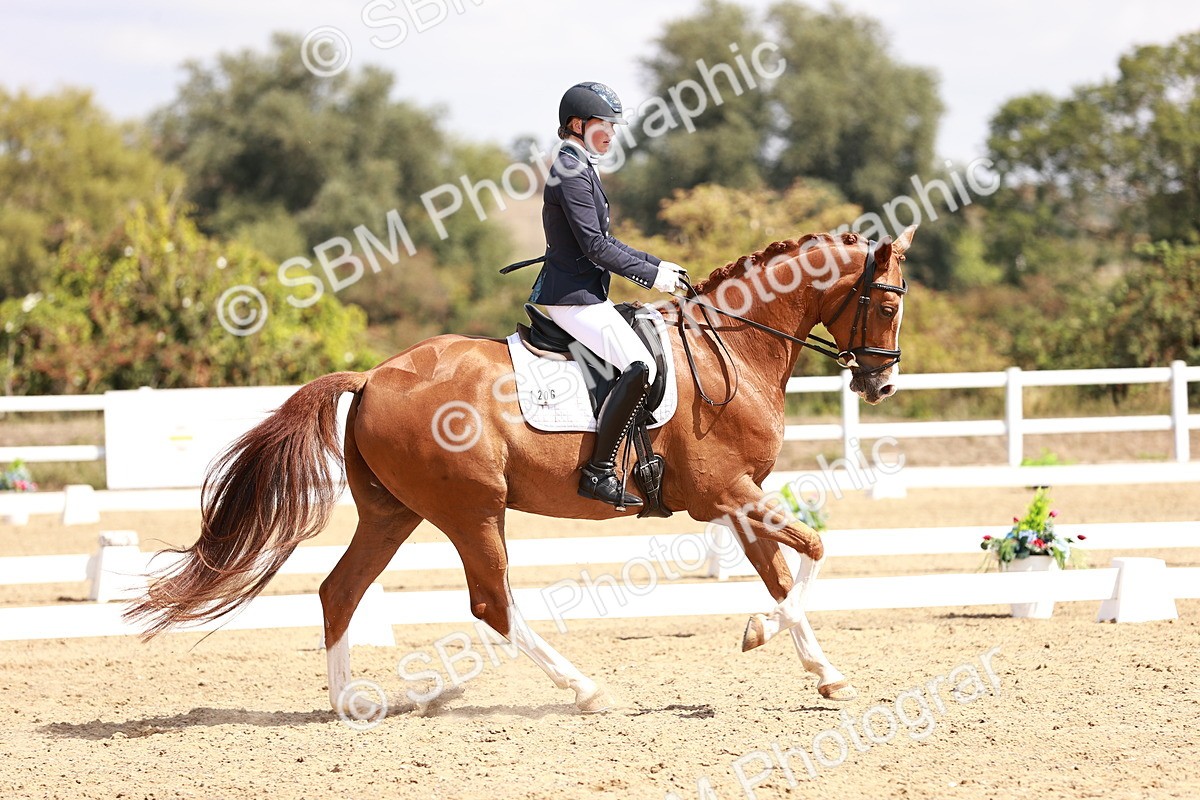 SBM_018447 - Class 17 - Novice 6