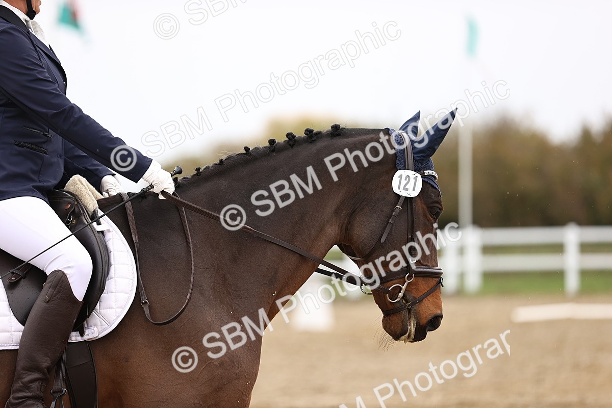 SBM_000659 - Novice 2