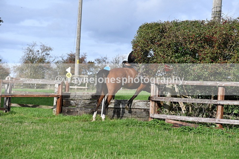 WJ5_1146 - Time 14:29 to 15:31