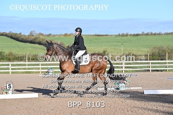 BPP_8103 - LONG ARENA
