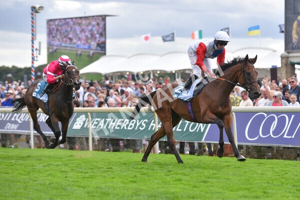 yr19082022r5-32 - Race 5 4.10pm Assured Data Protection EBF Fillies' Stakes