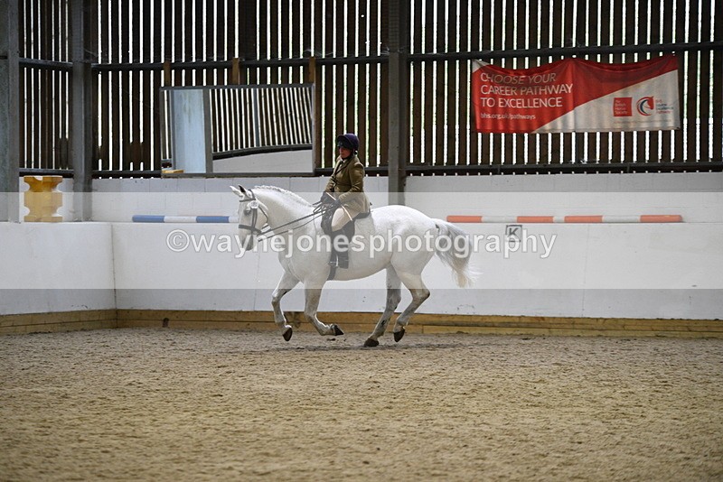 WJ5_9043 - Class 15 Ridden Show Horse