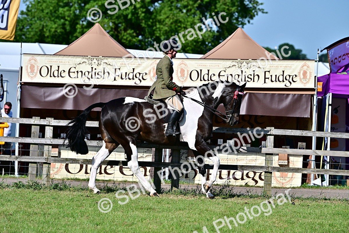 SBM_19547 - Class 101-102 - BSPS LIHS Performance Coloured Horse/Pony