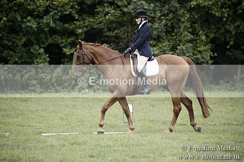 BVR090918 305 - BVRC Dressage and Show Jumping 09/09/18