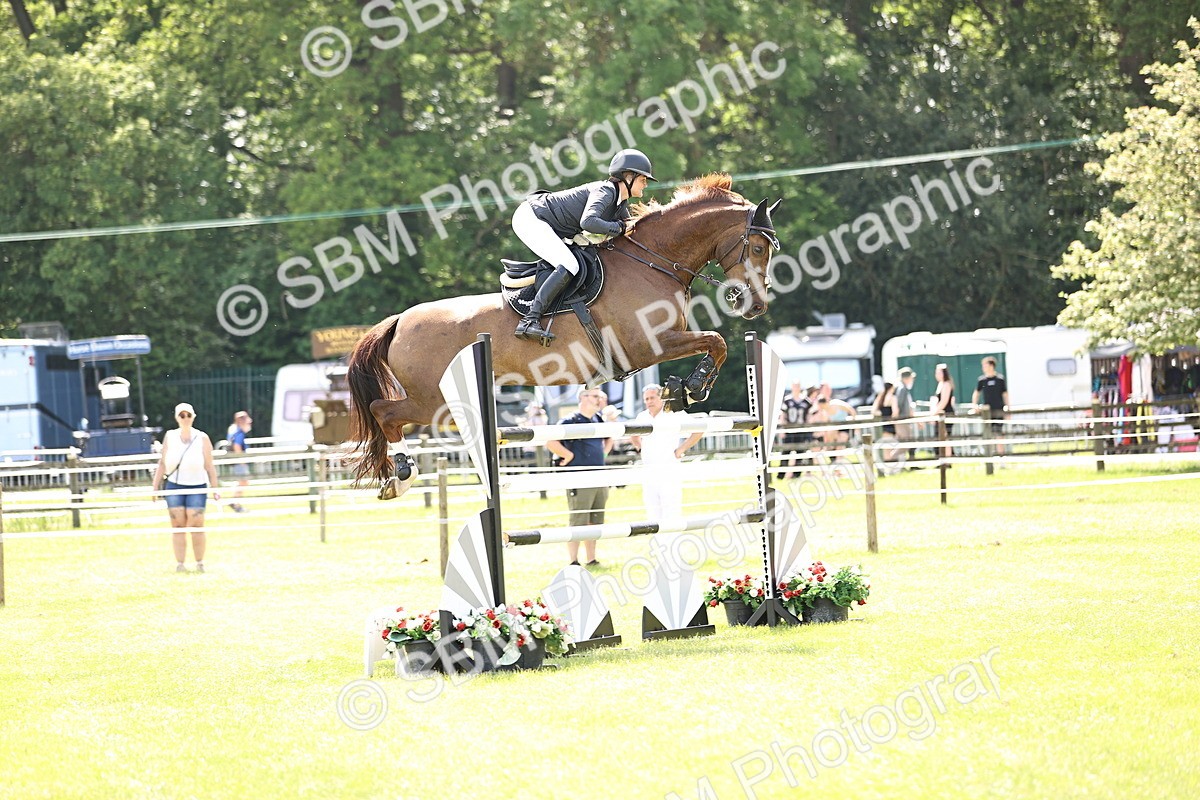 SBM_04013 - Class 201 - British Horse Feedds Speedi Beet HOYS Grade C