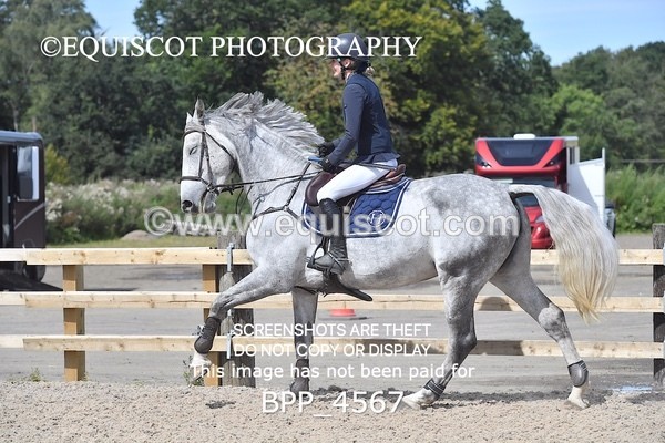 BPP_4567 - CLASS 14 SUN Senior 1.05m Open