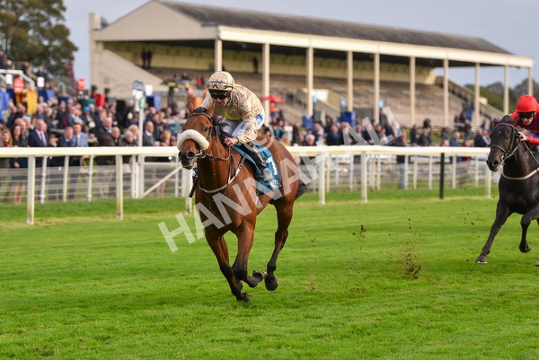 131023-Race 5-Irish Nectar-9680 - Race 5 4.25pm Parsonage Hotel And Cloisters Spa Nursery Handicap