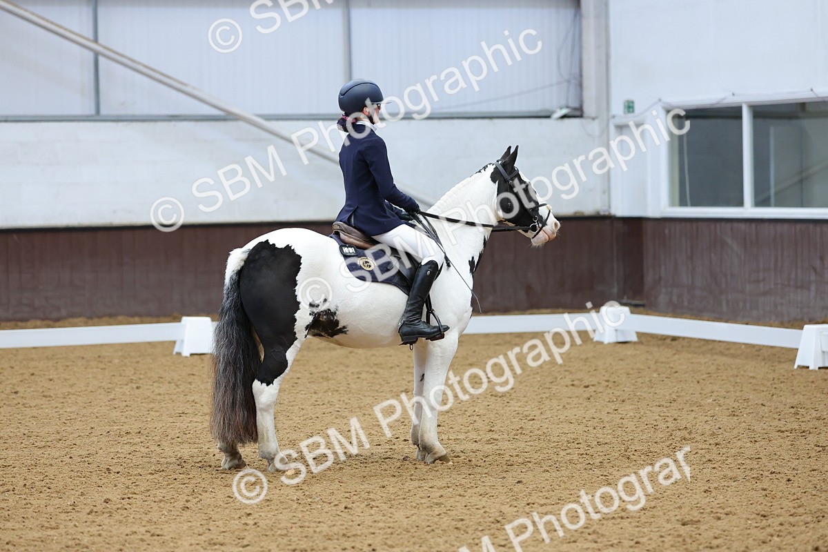 SBM_003094 - Novice