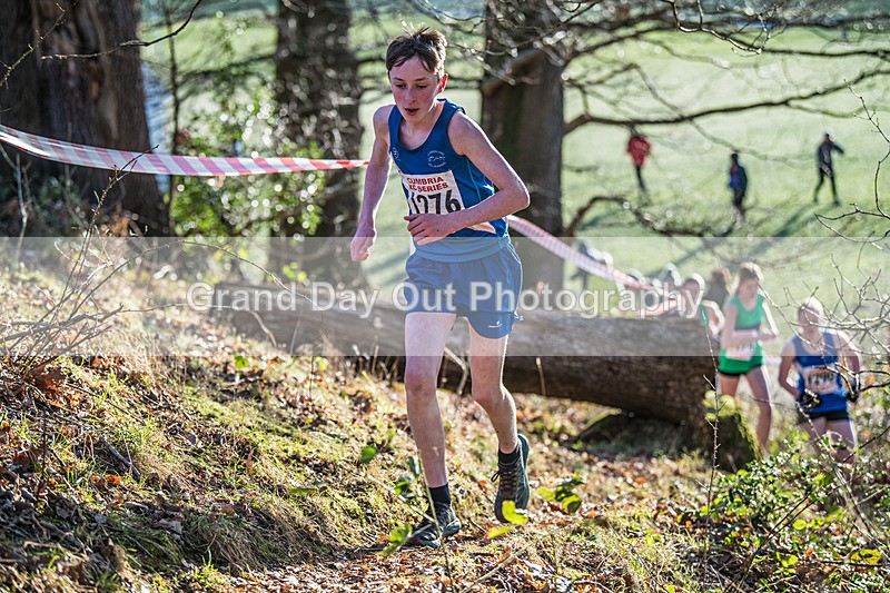 Cumbria XC-340 - Cumbria Cross Country Championships (Junior & Senior Races) Saturday 3rd January 2026