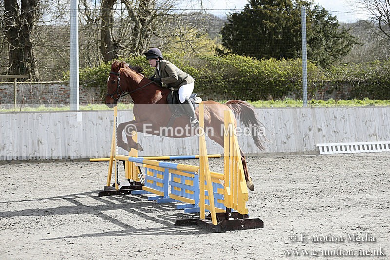 BVRC SJ 170319 335 - Bourne Valley Riding Club Showjumping 17/03/19