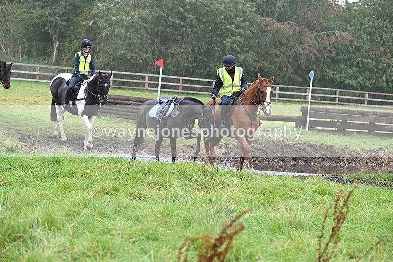 WJ6_9797 - Time at Photographer 14:57 to 15:20