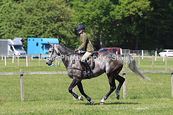IMG_4615 - Working Hunter