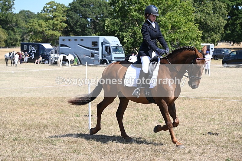 WJ6_9186 - Championship Classes 33-38