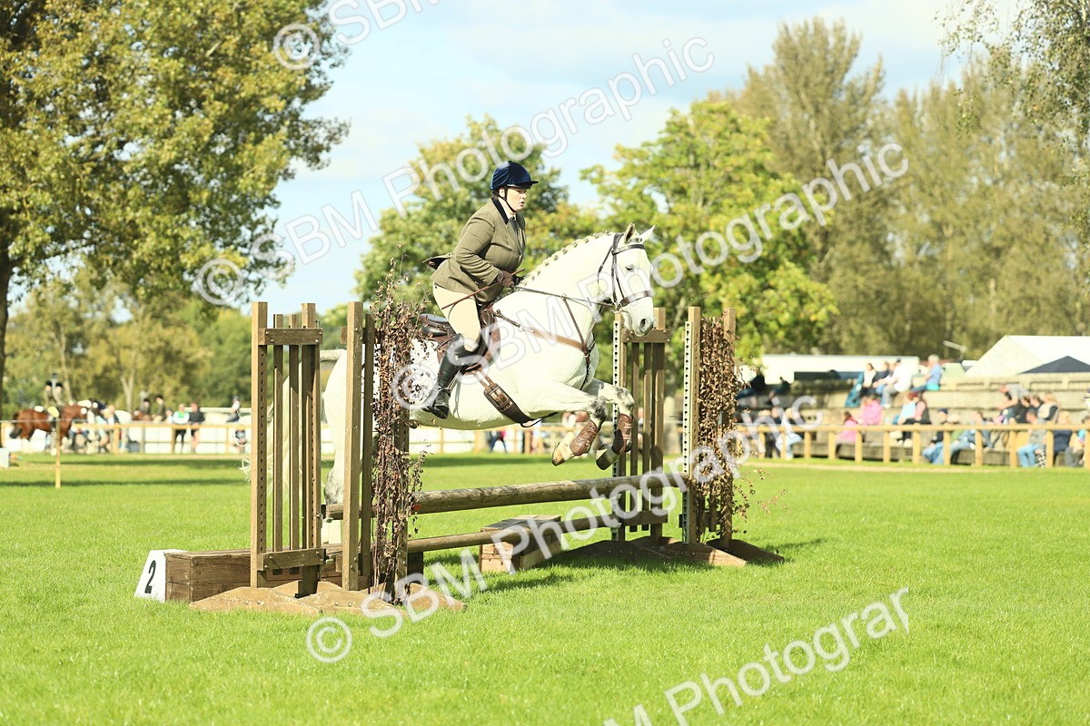 SBM_48051_S32 - Novice Newcomer Working Hunter - Stephanie
