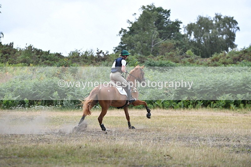 WJ5_2140 - XC Time 12:56 to 13:21