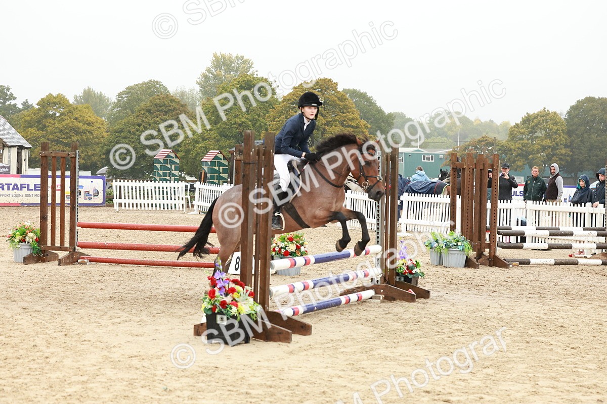 SBM_73273 - Supreme Championship Junior Pony 60cm & 65cm