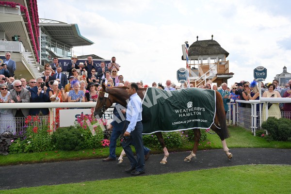 yr20082021r2-112 - Race 2 2.25pm Weatherbys Hamilton Lonsdale Cup (British Champion Series race)