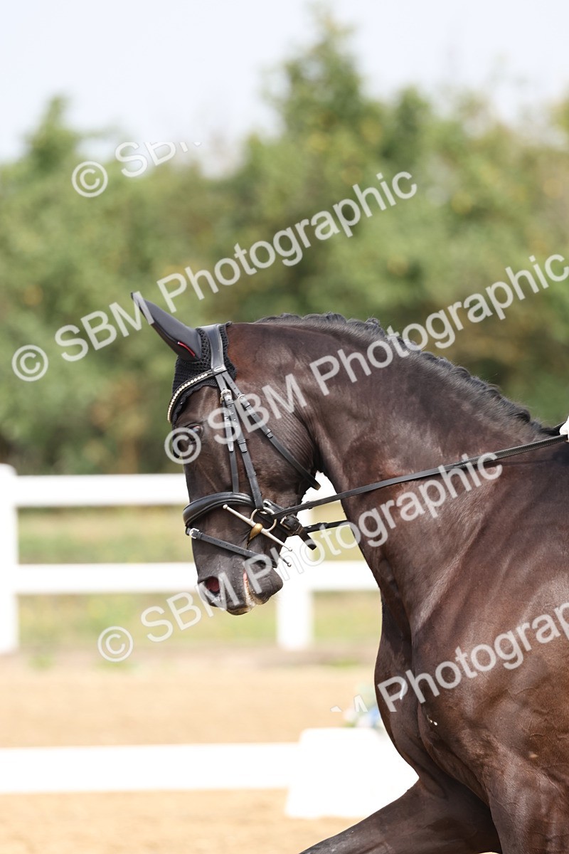 SBM_006212 - Class 6 - novice 6 - 11.50-12.46