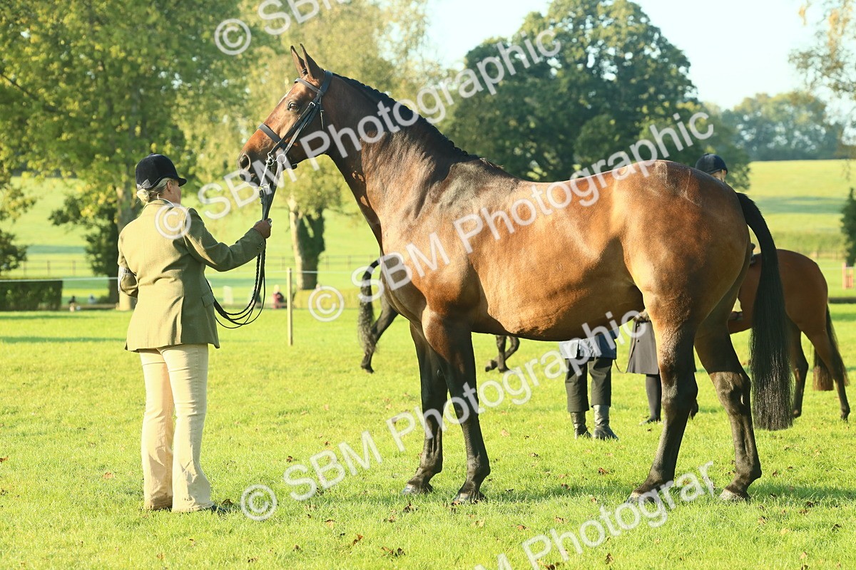 SBM_56686 - S36 - Starters Best Turnout