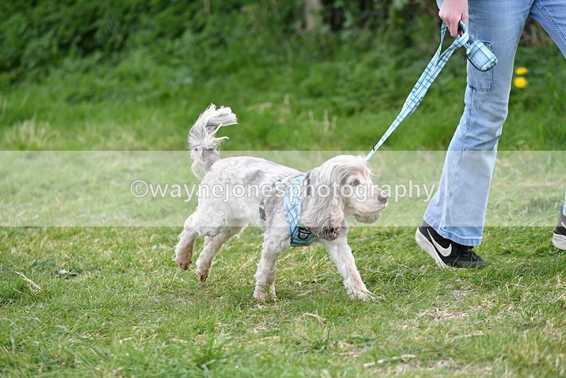 WJ5_0100 - Class 5 Best Veteran / 7 years & over