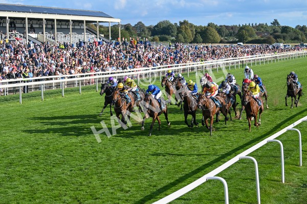220825-Race 7-Fifth Column-7839 - Race 7 5.20pm Sky Bet Mile Handicap