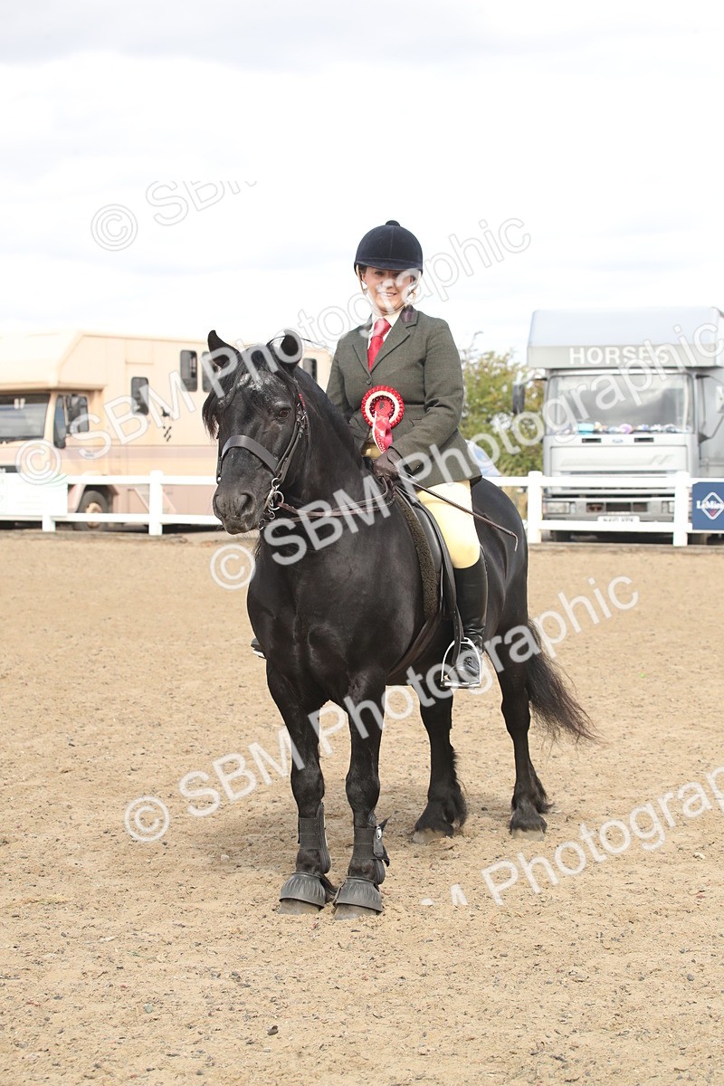 SBM_15186 - Class 505b - M&M Working Veteran - 50cm (20+)