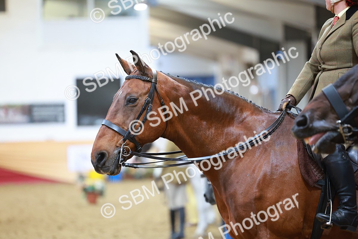SBM_09489 - Class 102 - HOYS Veteran Qualifier - Ridden Veteran