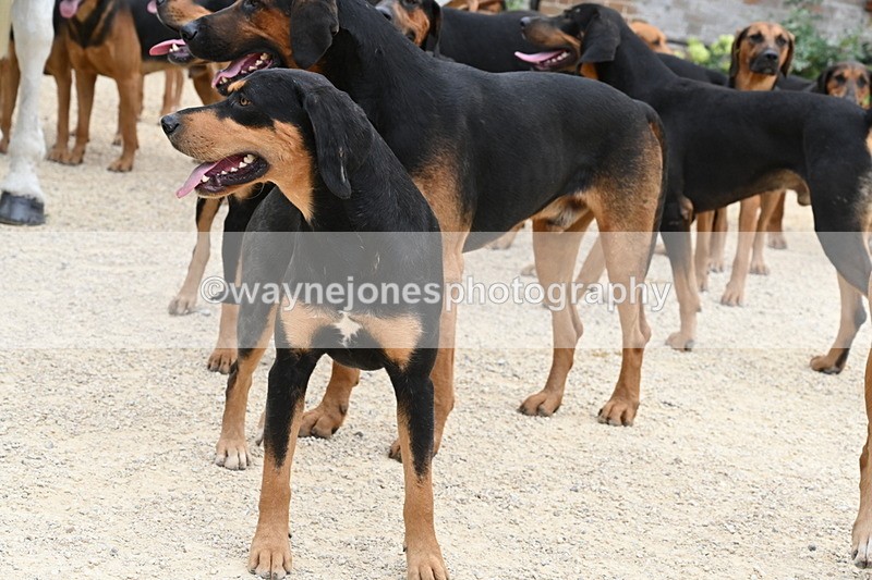WJ6_3561 - Berks & Bucks - The Old farmhouse - Hound Exercise 20-08-25