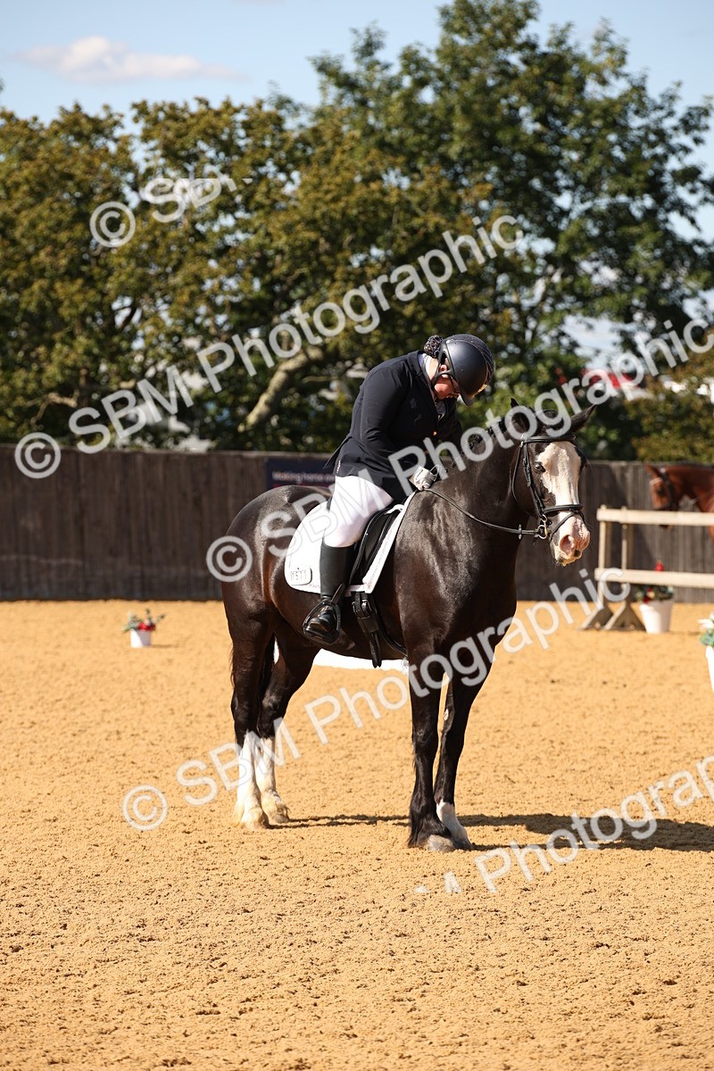 SBM_24240 - D5 - Small Tour Championship - Intro C