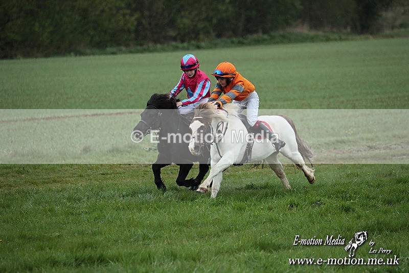 SHETPR 210425 83 - Shetland Ponies Paxford Races 21/04/25