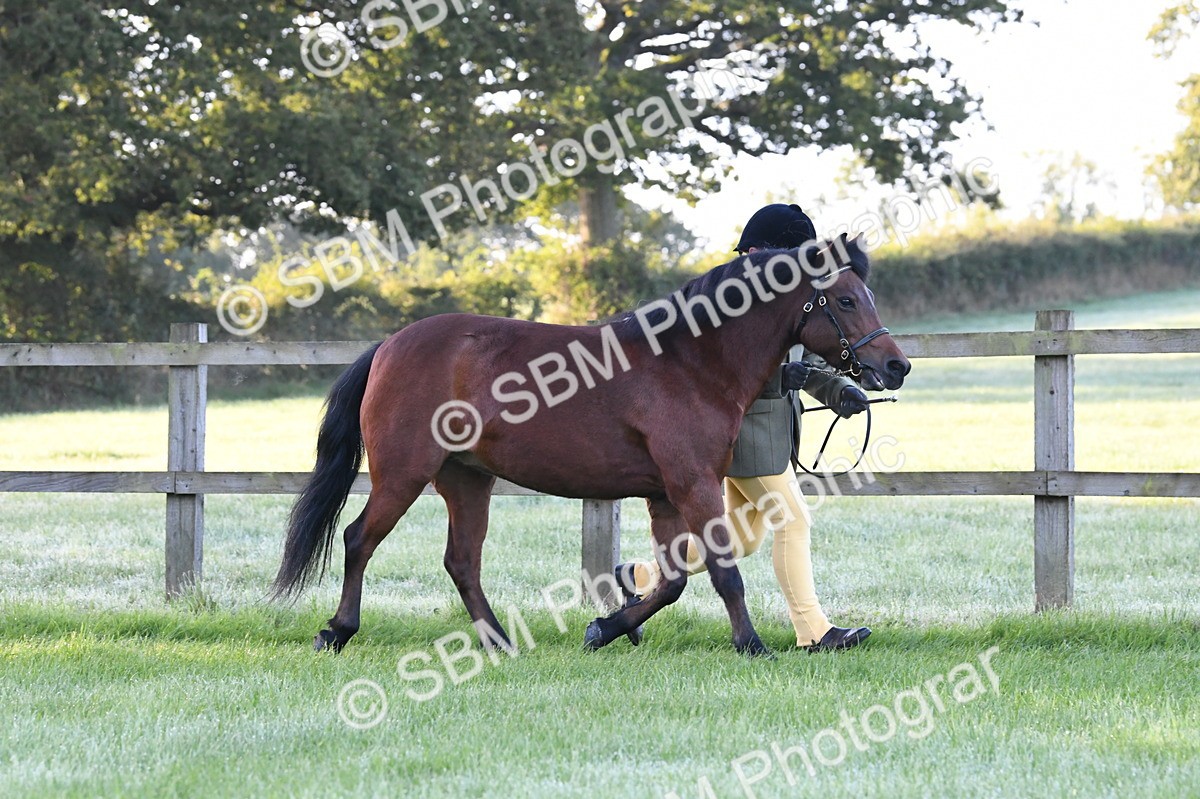 SBM_32601 - S15 - Condition & Turnout In Hand