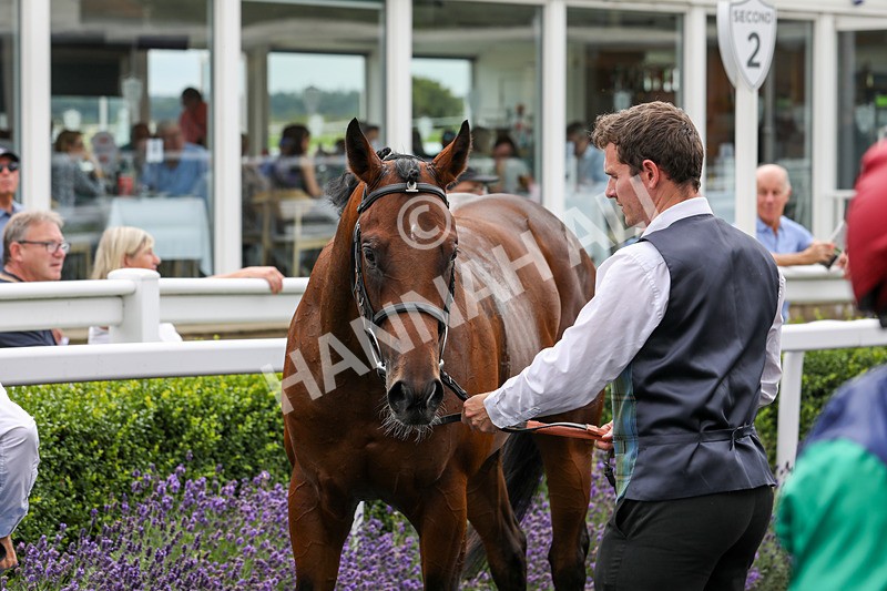 240724-Race 2-Chuti Manika-3380 - Race 2