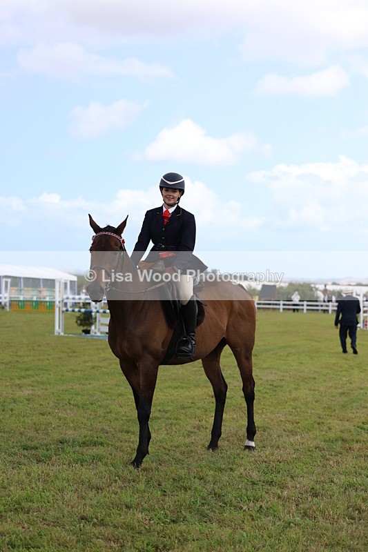 3E7A2412 - Class 11: Retraining of Racehorse