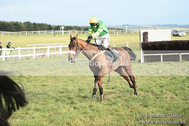 PtP 021218-29 - Hursely Hambledon Hunt Point-to-Point - Larkhill 02/12/18