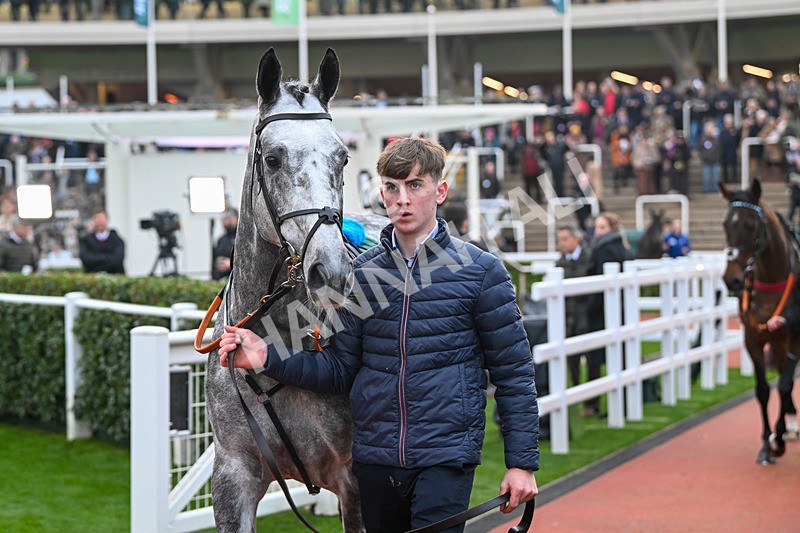 161124-Race 6-Paddock-Kings Hill-1097 - Race 6