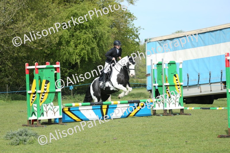 20260426-1460 - Class 14 - Novice 60cm