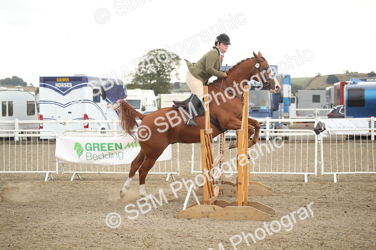 SBM_18463 - Class 510a - Working Veteran 90cm (15-19)