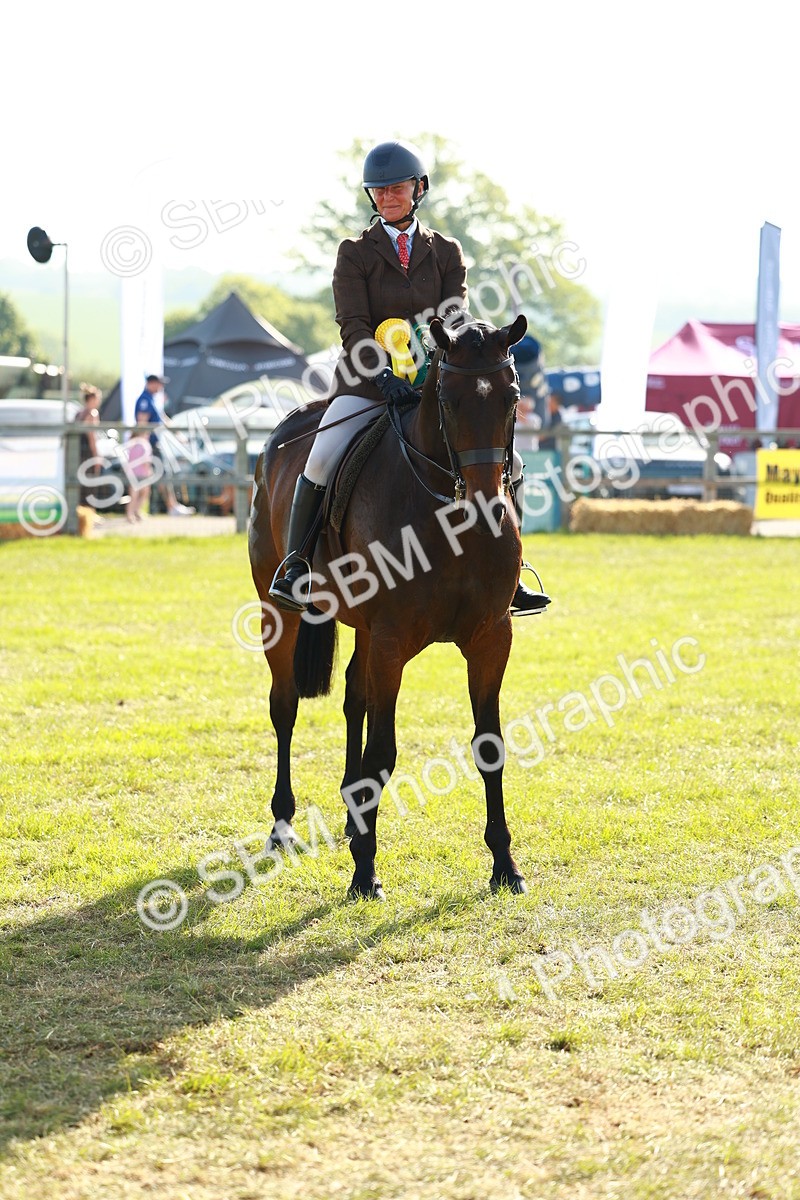 SBM_10840 - Class 66-69 - RIHS Ridden Hunters Inc Small Hunter