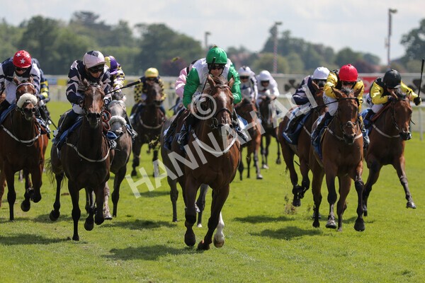 yr11062021r3-22 - Race 3 2.55pm SKF Rous Selling Stakes