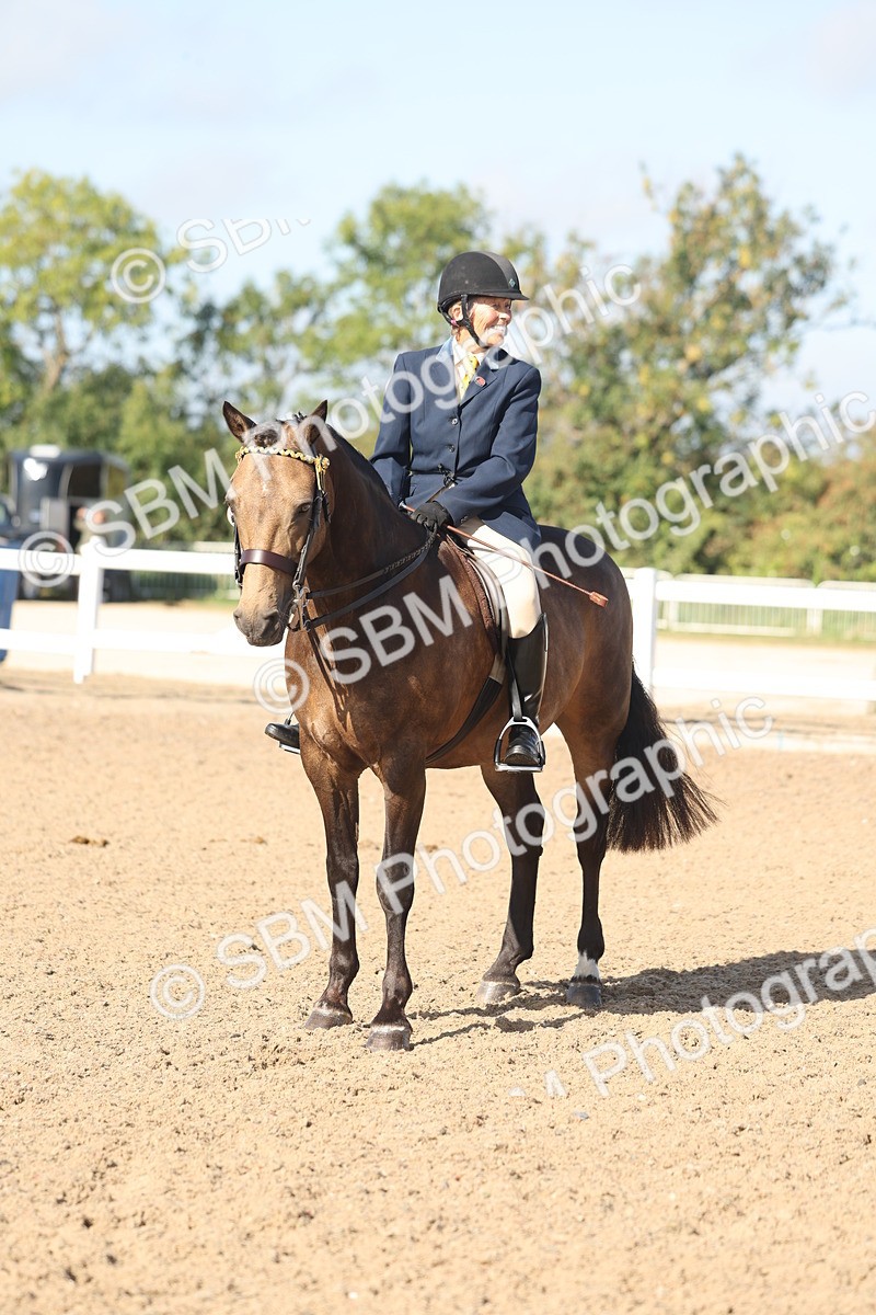 SBM_22324 - Class 803 - Ridden Combination 65+