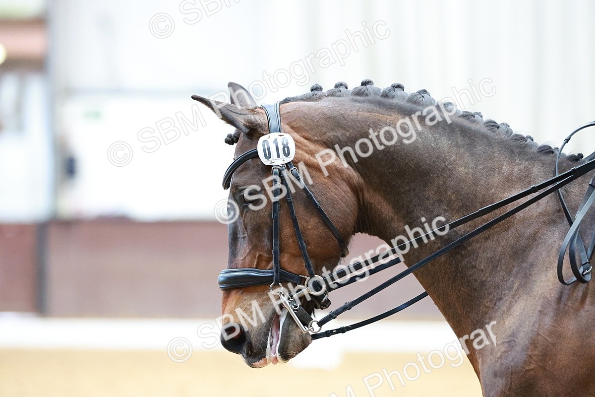 SBM_003212