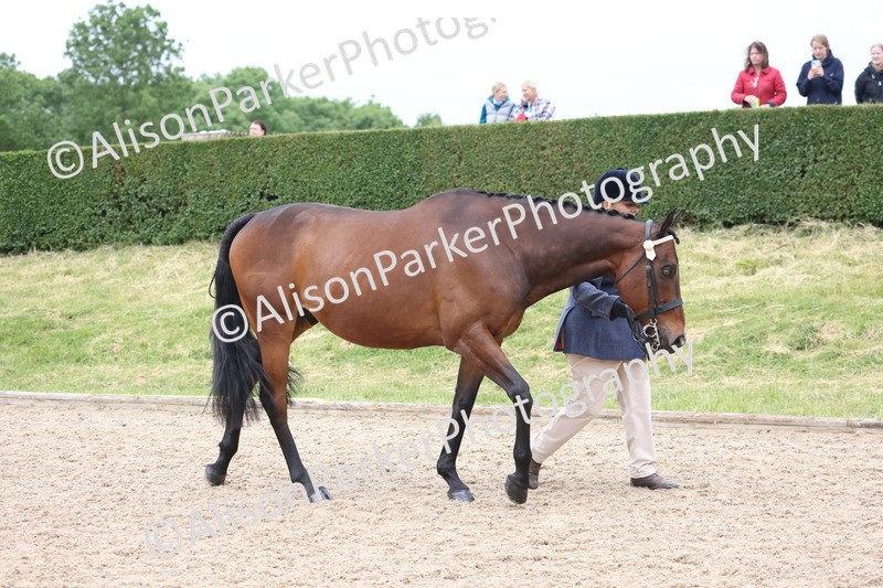 20250524-0620 - Class 7 - Veteran