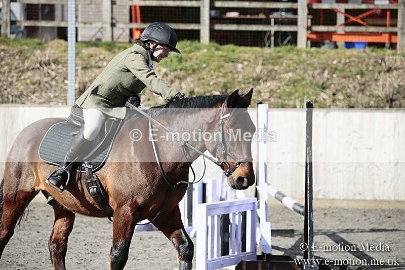 BVRC SJ 170319 109 - Bourne Valley Riding Club Showjumping 17/03/19