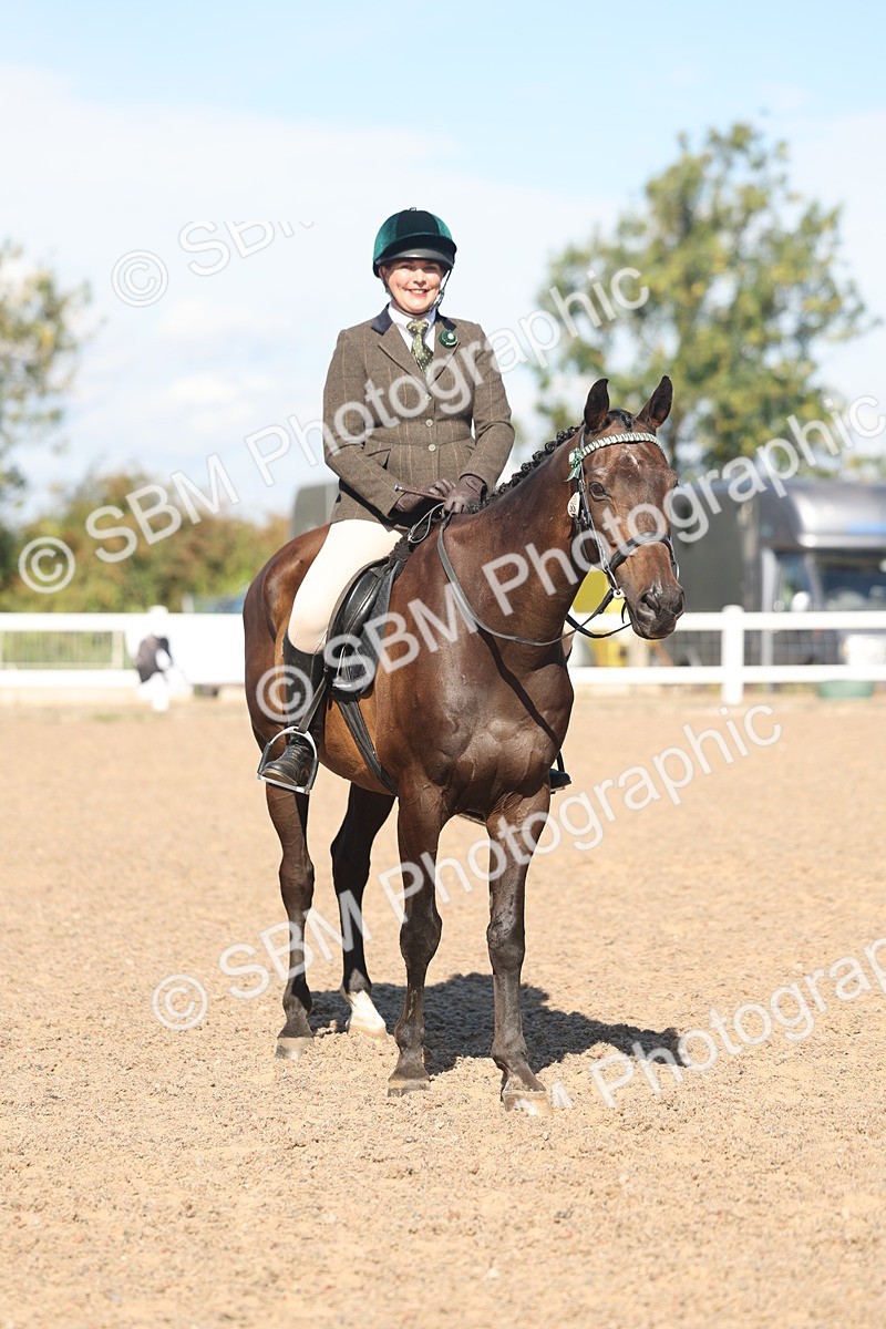 SBM_13117 - Class 305 - Ridden Foreign Breed Pure Bred